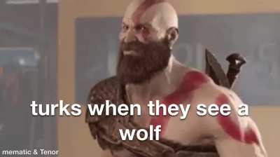 🇹🇷 ❤️ 🐺