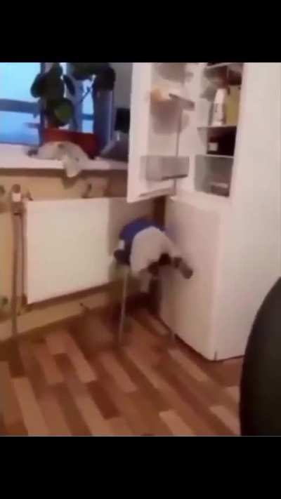 Stuck in an infinite loop