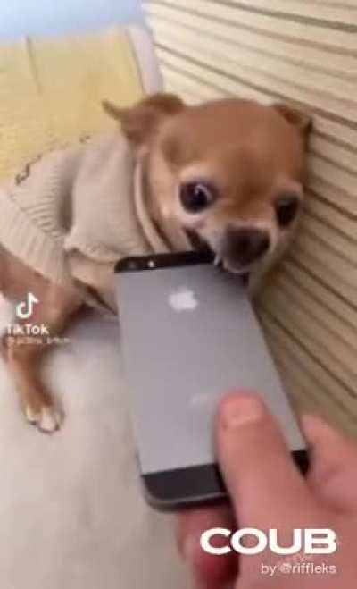 Random videolar #13