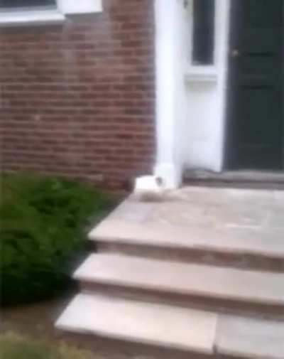 My hedge people need me