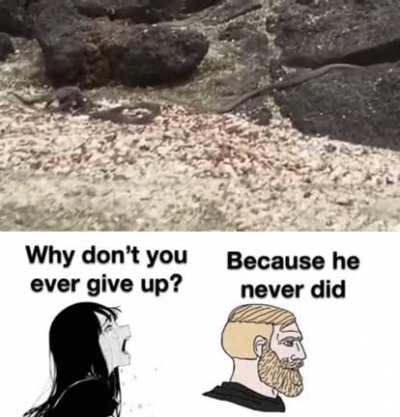This unironically motivates me more than most stuff 