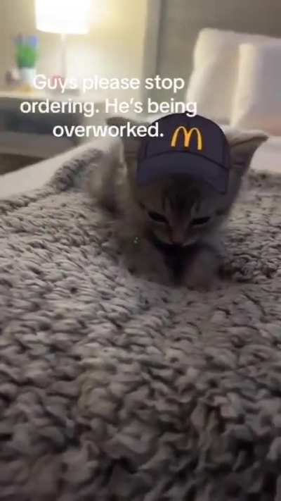 Exploited Wunk