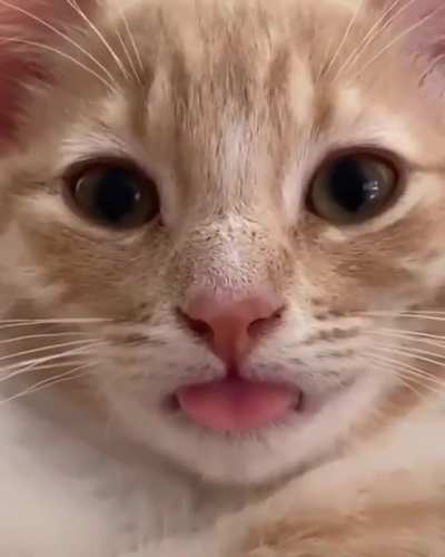 Derp face