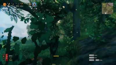Tree to the face.