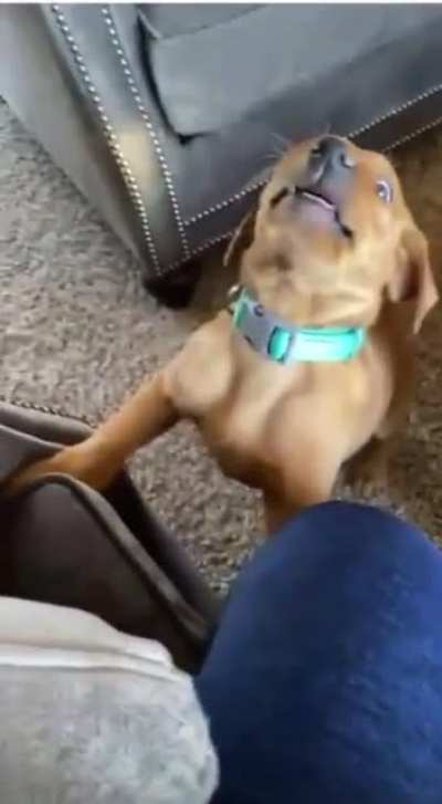 No!!!!!…..