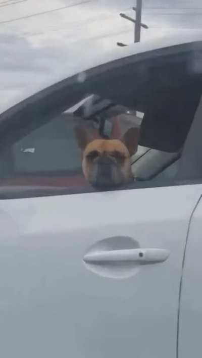 Not the road rage you expected