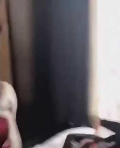 Carti throwing a fit