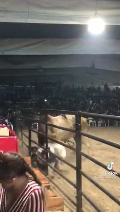 The bull isn’t red but it sure gave him wings.