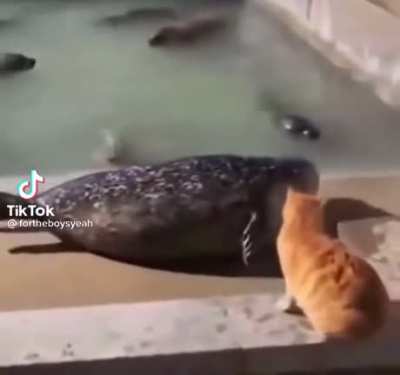 Two friends cracking jokes..until one of them goes too far.
