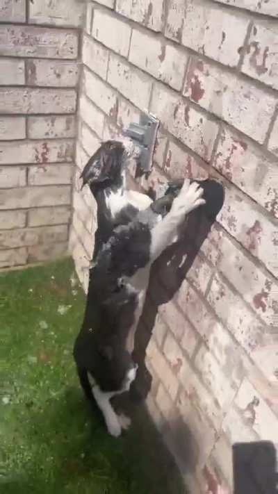 Neat statue