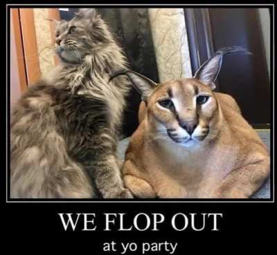 We 😼 flop 💥 out 😤 at your 👉 party 🎉