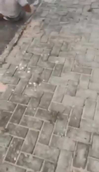 Ok buddy, you need more practice