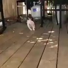 to run to the camera