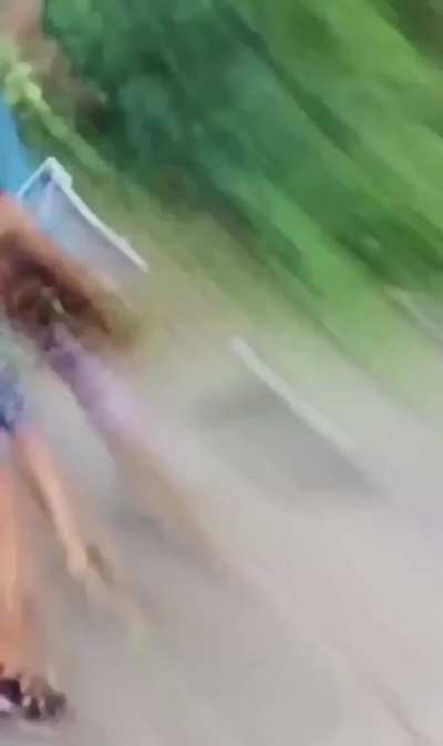 Weaves, guts and tits flying around as the whole neighborhoods comes out to take part in this street fight