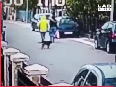 A dog saves a woman from being robbed