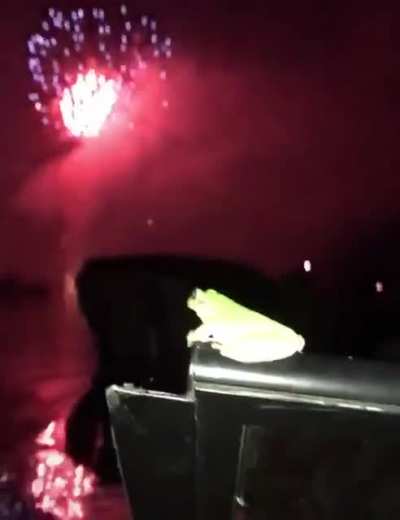 🐸