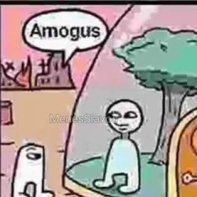 sus! amg su!!
