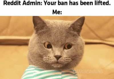You can hate me now.