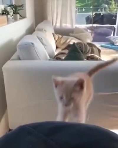 Such grace