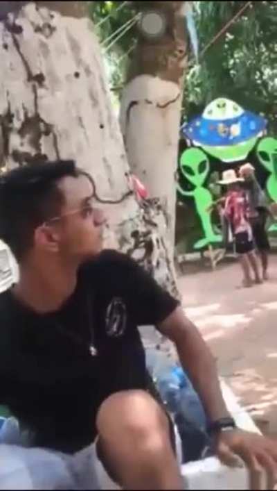 Muca na rave