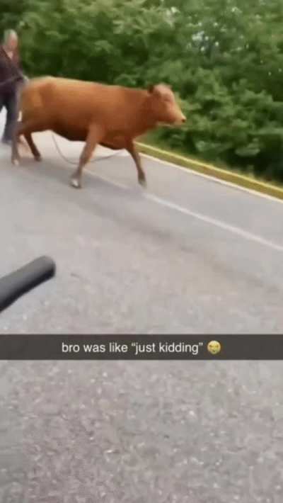 Just kidding
