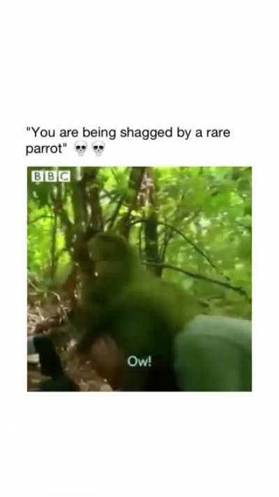 Down bad .....