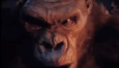 Kong vs ape