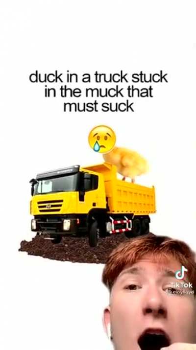 That’s a big duck