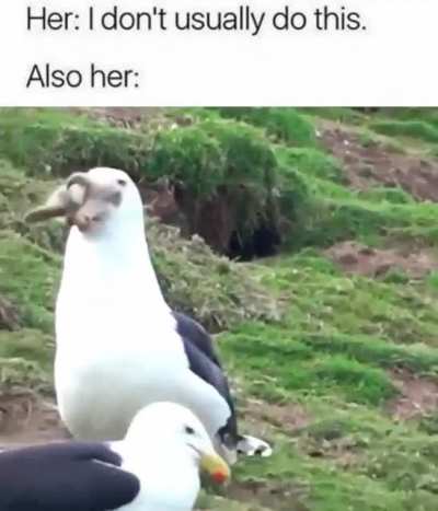 HMMMMMMM