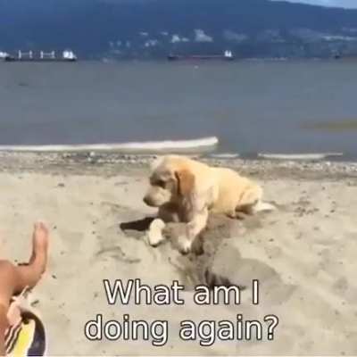 Don't forget what you are doing