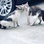 Stay off.....I dare you!!