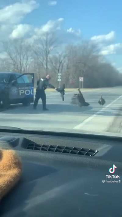 Wild turkeys -1 Riverview Police - 0