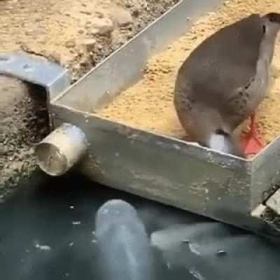 Fishing for friends