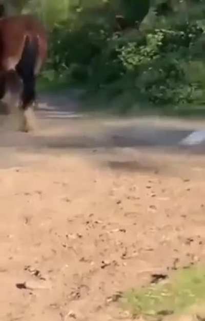 Don't Pick on the Big Guys