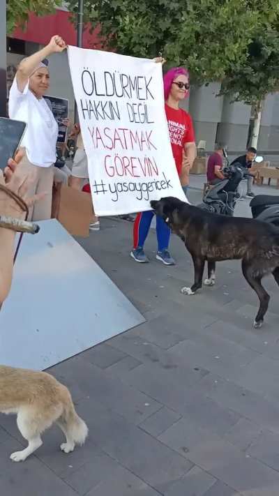 bune amk