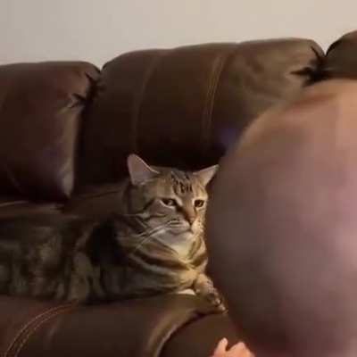 Sheer disgust