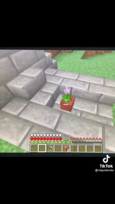 He’s everywhere
