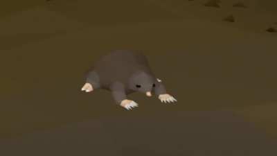 Don't bring your pets in the wilderness