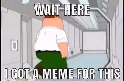 Eu procurar no meme perfeito
