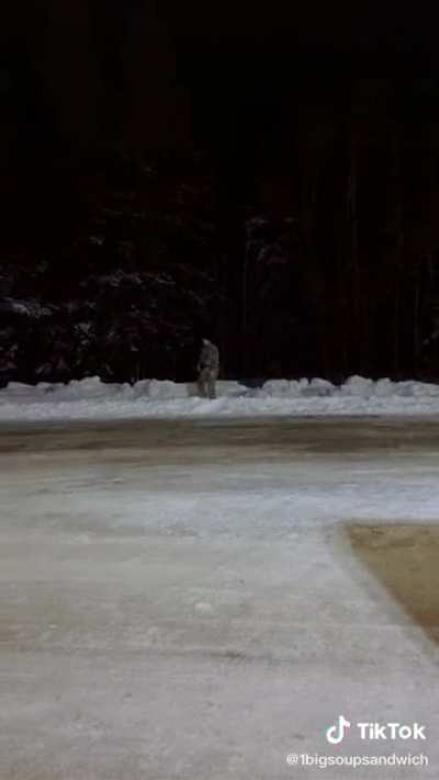 When did Bill Burr enlist. I’m happy he’s salty enough to melt that snow.
