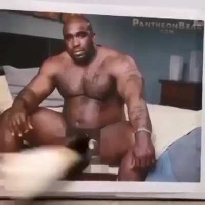 Биг пуси