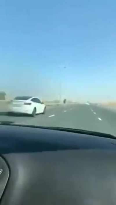 Tesla radar did not recognize a camel, cusing an accident in the UAE