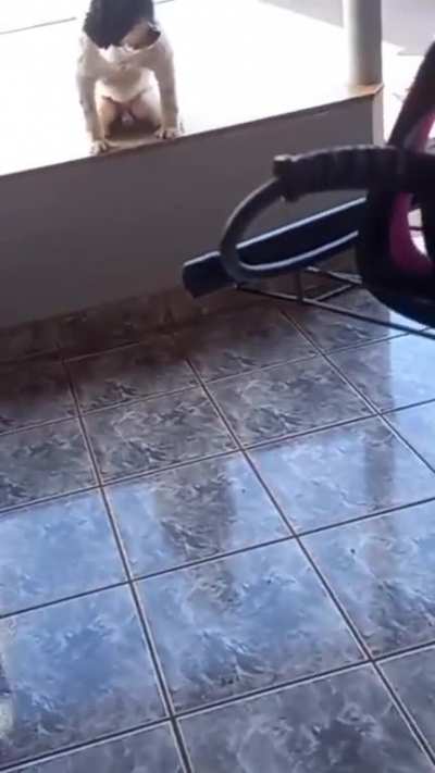 Cachorromem?