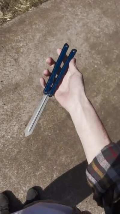 The swordfish
