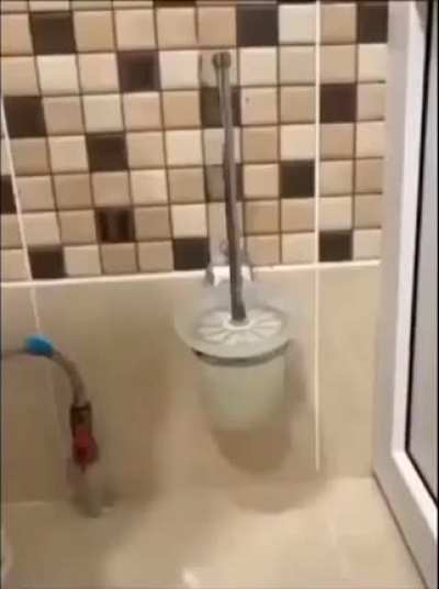 A toilet