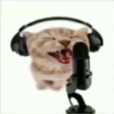 XDD