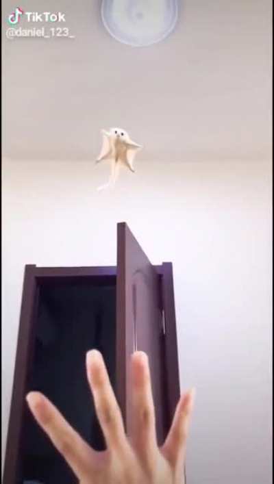 I believe I can fly...