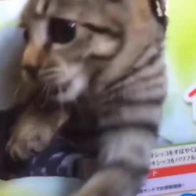 Surprise motherfucker