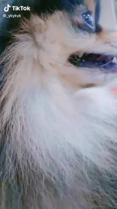 Why and why and why