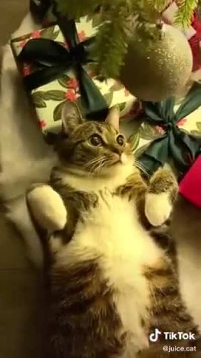 Touch tha ball